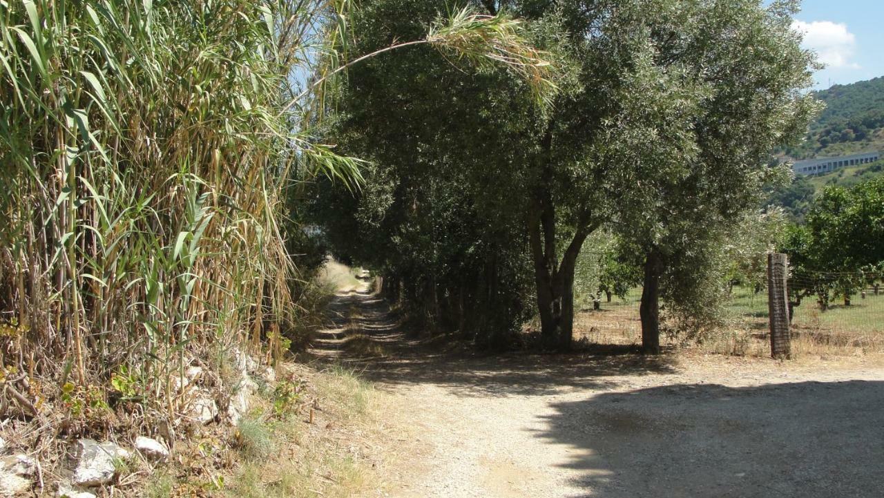 Villa Primaluce Pizzo  Exterior photo